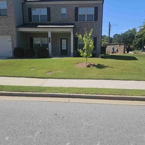 landscape maintenance by Viking Landscapes And Lawn Care reviewed on December 13, 2021