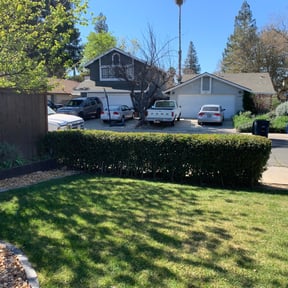 Bush Trimming by H2H Lawn Service reviewed on November 24, 2025