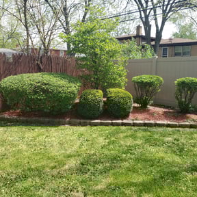 Bush Trimming by Double E Lawn Service reviewed on August 15, 2025