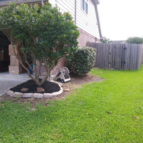 Bush Trimming by Collegiate Lawn Services, LLC reviewed on August 18, 2025