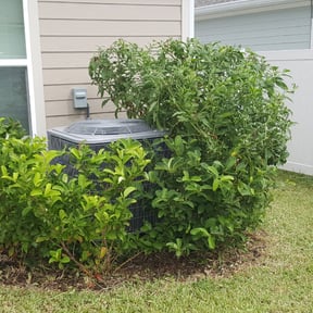 Bush Trimming by Guardian Lawn & Landscape reviewed on August 17, 2025