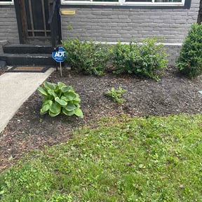 Flower Bed Weeding by DSW Landscaping and junk removal reviewed on May 2, 2026