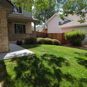 Bush Trimming by Emerald Green Lawn Service reviewed on August 15, 2025