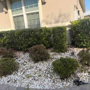 Flower Bed Weeding by Back Creek Property Services reviewed on September 17, 2026