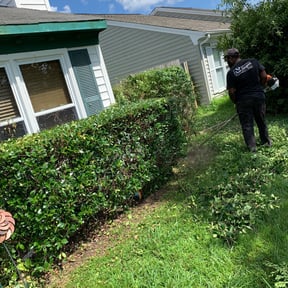 Bush Trimming by Yards Done Daily reviewed on August 20, 2025