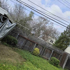 Bush Trimming by Zac of All Trades reviewed on November 20, 2025