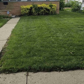 landscaping services by Use more services reviewed on August 15, 2025