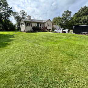 yard maintenance by Cbtme lawn co. reviewed on July 20, 2025