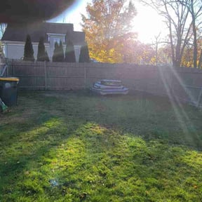 Leaf Removal by Afloridable services LLC reviewed on November 27, 2025