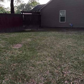 Leaf Removal by Family Gang Lawn reviewed on April 18, 2026
