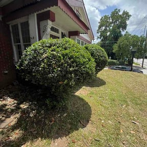 Bush Trimming by Redd N Boys Lawn Care Service reviewed on June 14, 2026