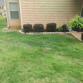 Bush Trimming by David landscaping &amp; stone work/fence reviewed on July 24, 2026