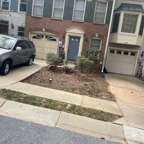 Bush Trimming by Steven Pickney reviewed on July 9, 2025