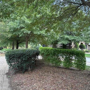 Bush Trimming by Mauler Mowing LLC reviewed on October 21, 2025