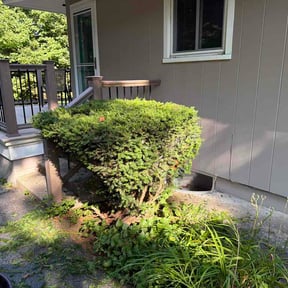 Bush Trimming by Clark and son lawn care reviewed on August 27, 2026