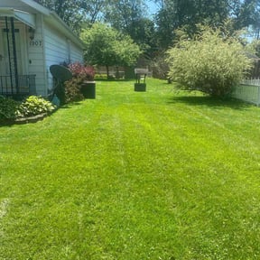 yard maintenance by Counts lawn Care reviewed on August 21, 2025