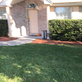 Bush Trimming by Affordable Lawncare reviewed on October 19, 2025