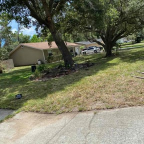Leaf Removal by Palmetto Land Service reviewed on September 12, 2025