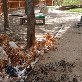 Bush Trimming by Jero's Landscape reviewed on November 20, 2025