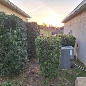 Bush Trimming by Hatchetts lawn and landscape reviewed on August 15, 2025
