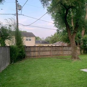 Tree Trimming by Dan's Lawn & Landscaping reviewed on August 18, 2025