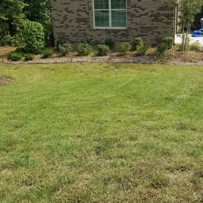 Bush Trimming by Kr lawncare reviewed on April 8, 2023