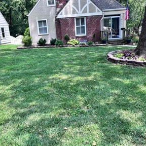 yard work by Jeremy's Lawn Service reviewed on August 21, 2025