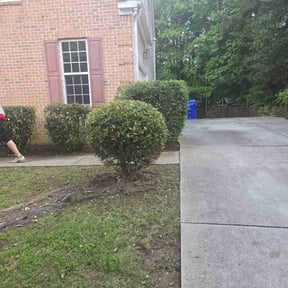 Bush Trimming by Duartes Lawn Service reviewed on November 9, 2017