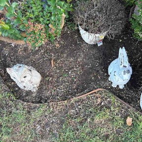 Flower Bed Weeding by Eric's Lawn Care reviewed on June 1, 2026