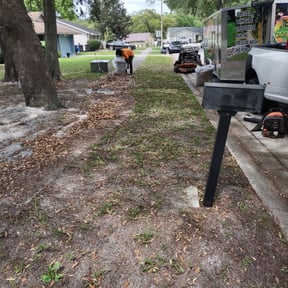 Leaf Removal by Good Looking Lawns reviewed on August 19, 2025
