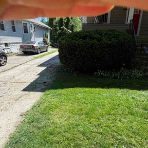 Bush Trimming by Curb Appeal Pro(s) LLC reviewed on May 29, 2026