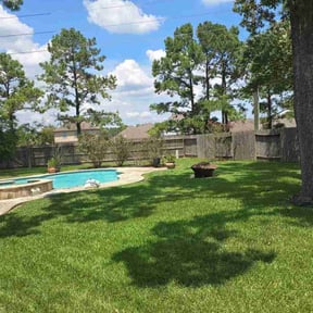 yard maintenance by Delgado Lawn Care Services reviewed on August 21, 2025