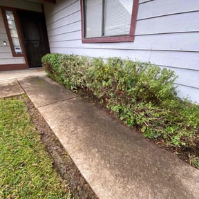 Bush Trimming by A-Team Leadership, LLC reviewed on November 18, 2025