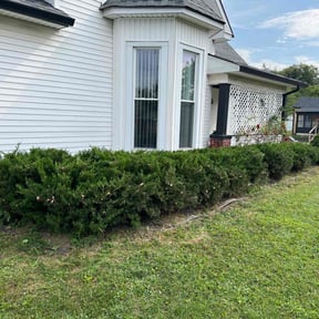 lawn care by Afloridable services LLC reviewed on August 21, 2024