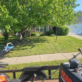 Bush Trimming by In &amp; out property management reviewed on May 4, 2026