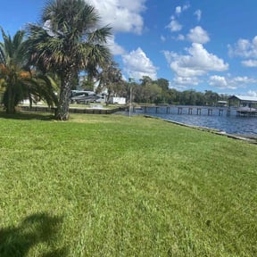 yard work by Salvador Lawn and Tree Service reviewed on December 17, 2025