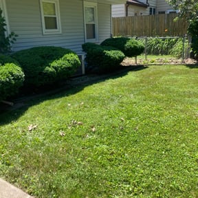Bush Trimming by West Michigan landscape and Lawn Management reviewed on August 15, 2025