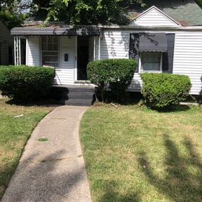Bush Trimming by RM Landscapes reviewed on August 20, 2025