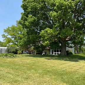 landscaping services by Chiappetta  fierro llc reviewed on November 19, 2025