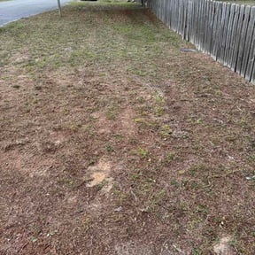 Leaf Removal by Philly Landscaping &amp; Home Improvement reviewed on June 16, 2026
