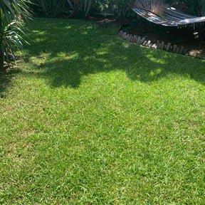 landscape maintenance by D &amp; D landscaping services llc reviewed on November 22, 2025