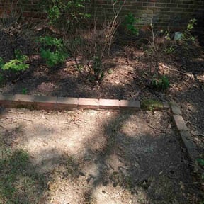 Leaf Removal by Gio Landscaping reviewed on August 13, 2025