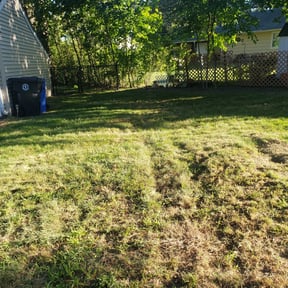 Leaf Removal by Quality Care Lawn Care Service Co reviewed on October 2, 2025
