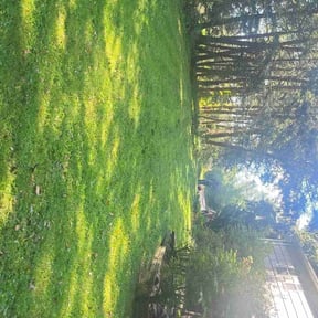 lawn care services by G&amp;M Landscaping Services reviewed on August 16, 2025