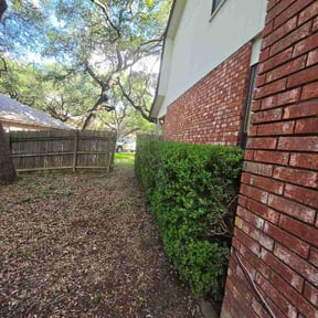 Bush Trimming by Lawn Legend LLC reviewed on June 11, 2026