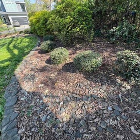 Bush Trimming by Roots of the Earth Inc. reviewed on March 21, 2026