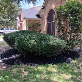 Mulching by Lawn and Property reviewed on August 21, 2025