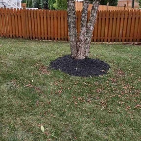 Bush Trimming by Escobar lawn care service reviewed on August 19, 2025