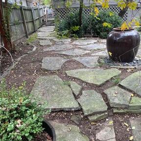 Leaf Removal by Valenciano Lawn Services LLC reviewed on September 14, 2025