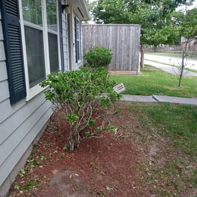 Bush Trimming by Lindsey's Lawn Service reviewed on December 23, 2023